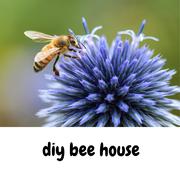 diy bee house
